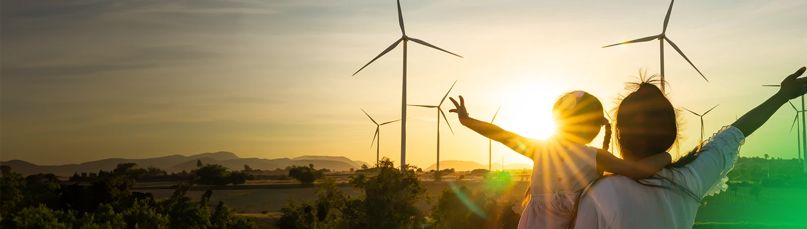 Adere online ao MEO Energia